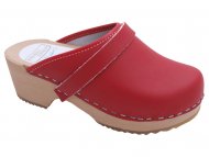 IDA Red